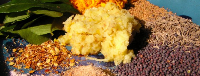 12 culinary herbs – free lecture!