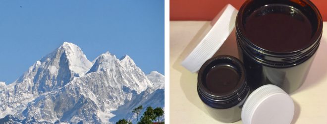 Shilajit: a remedy for all times