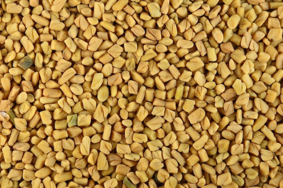 Fenugreek for blood sugar